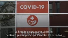 “Centauro”: la nueva variante de Covid que puso en alerta a la comunidad científica