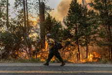 Incendio forestal en California quema más de 14.000 acres y obliga a evacuaciones