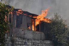Controlan incendio en isla de Grecia; salvan hogares