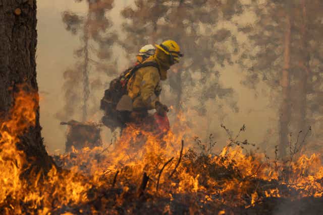 Un bombero lucha contra el incendio de Oak cerca de Mariposa, California, el 24 de julio de 2022