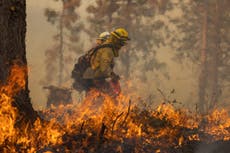 Declaran estado de emergencia por incendio cerca de Yosemite