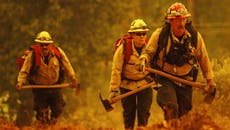 Así enfrenta California un enorme incendio forestal de 48 kilómetros 