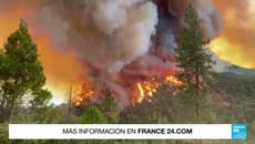 California declara estado de emergencia por avance de incendios forestales 