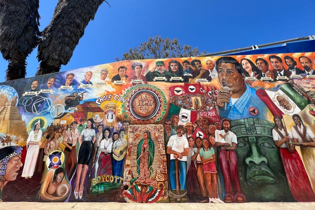 <p>Chicano Park in San Diego is filled with murals about Hispanic and Chicano struggles for equality</p>