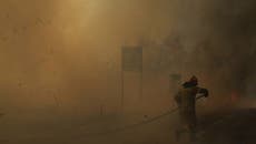 Europa: nueva semana de incendios forestales no da tregua a bomberos de la región 