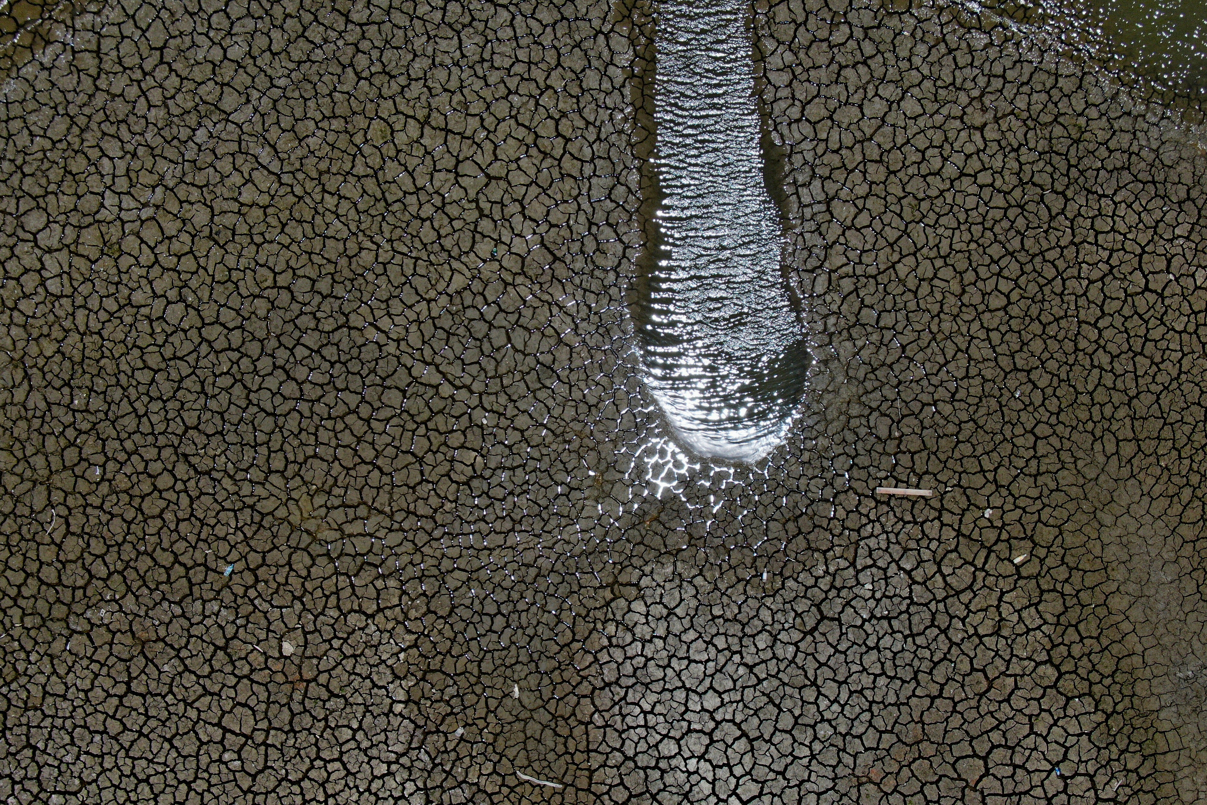 MIGRANTES CLIMÁTICOS AP EXPLICA