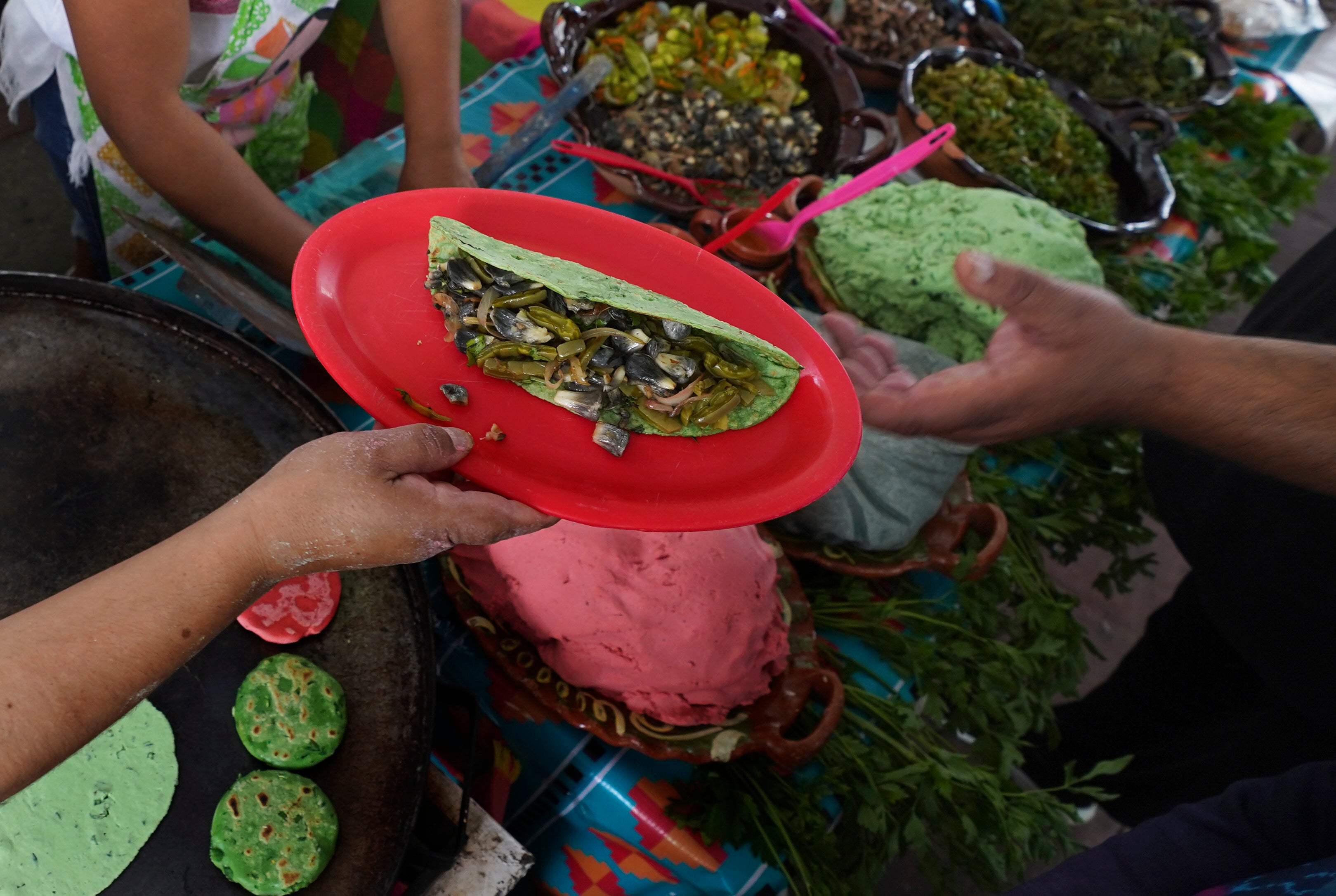 MEXICO-ALIMENTOS PREHISPÁNICOS