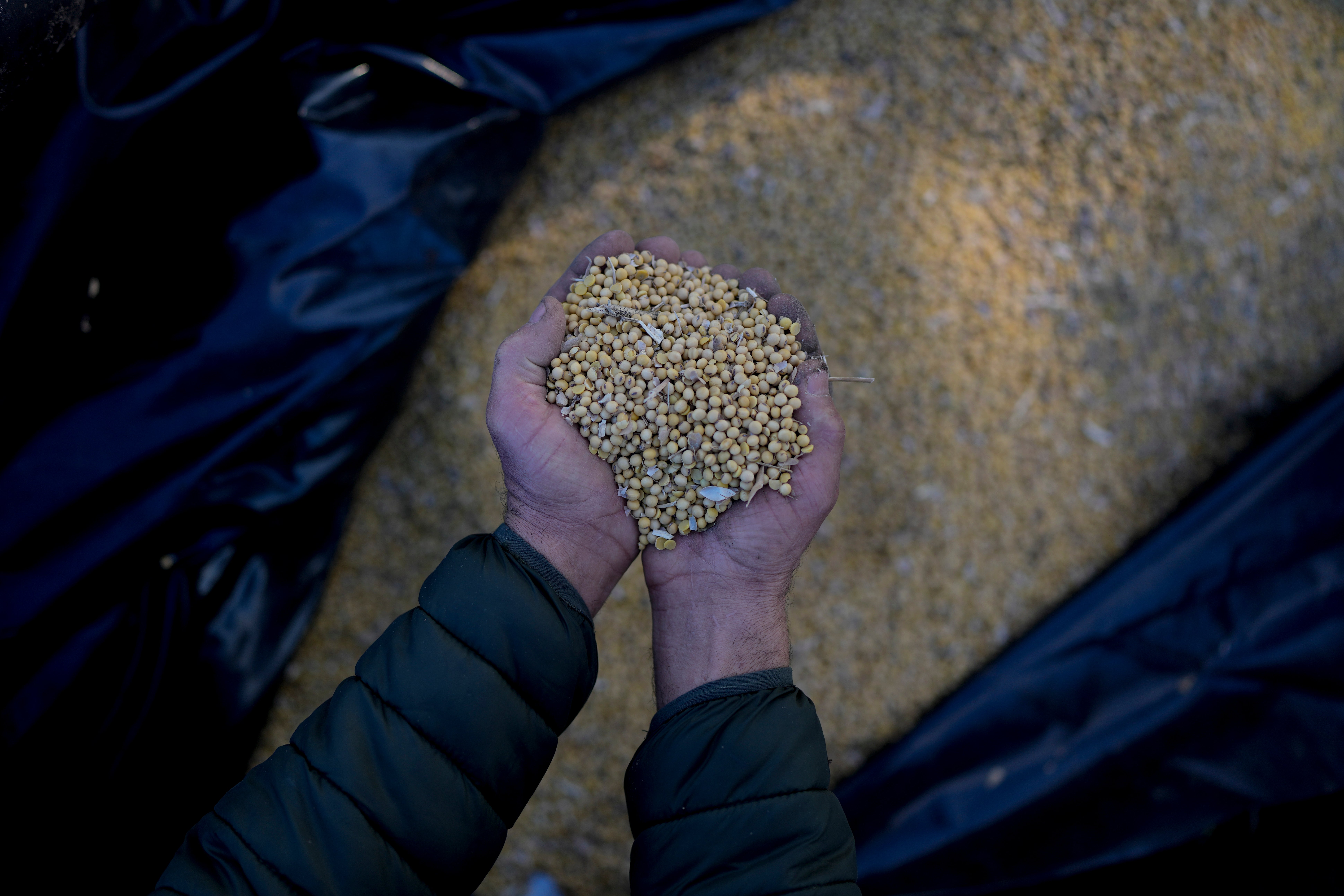 AMS-GEN ARGENTINA-SOJA CONFLICTO