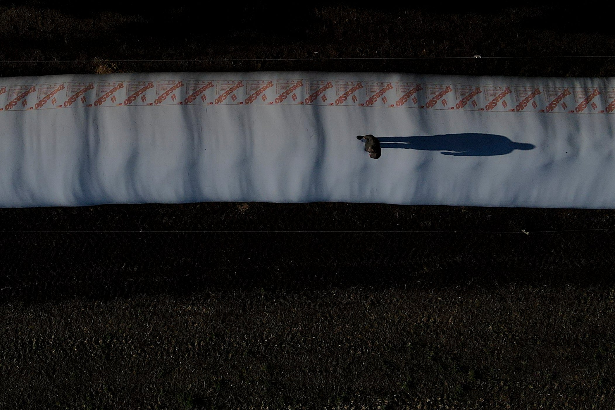 AMS-GEN ARGENTINA-SOJA CONFLICTO