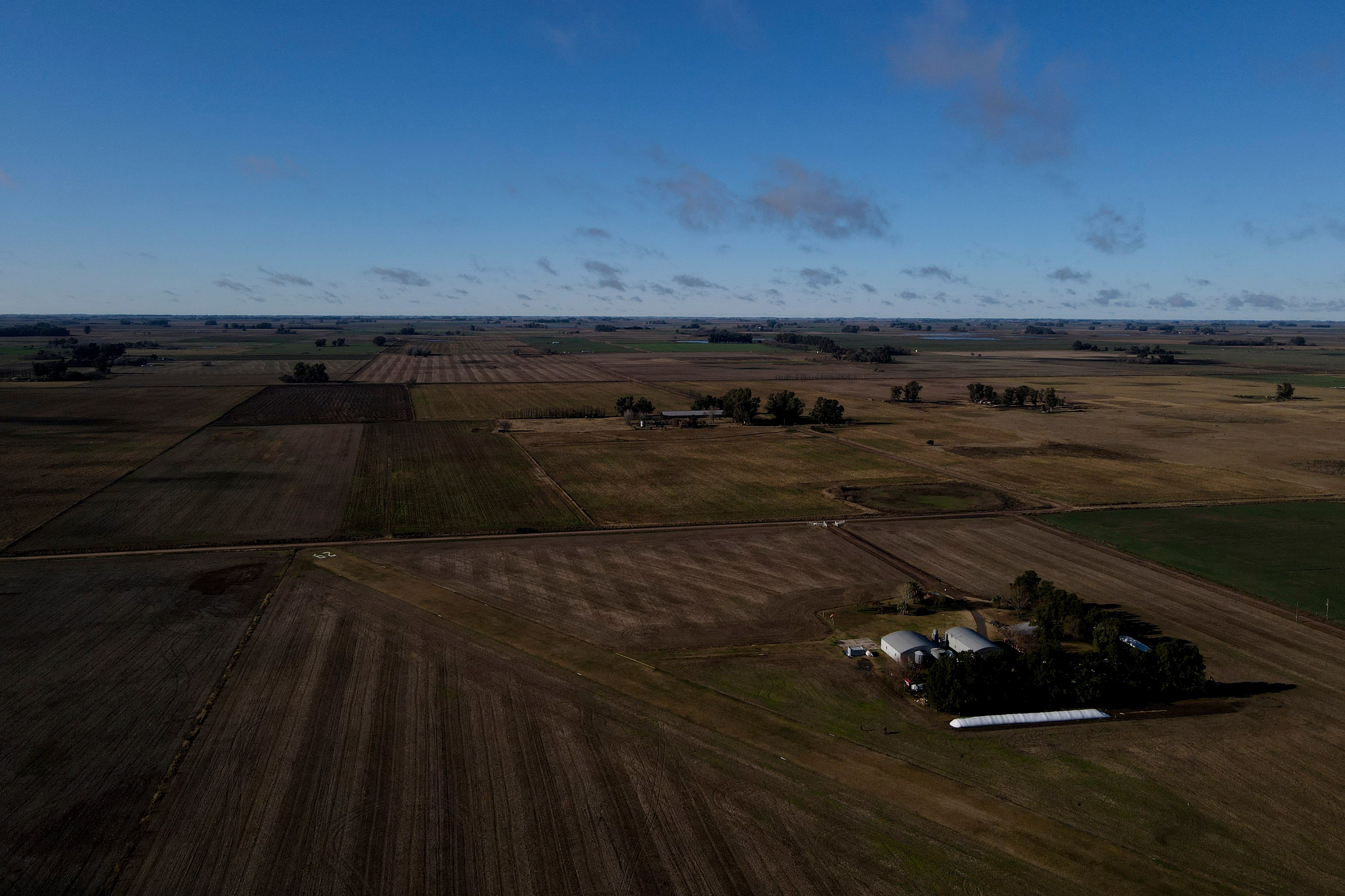 AMS-GEN ARGENTINA-SOJA CONFLICTO