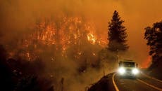 California: Gigantesco incendio forestal deja 160 kilómetros en cenizas 