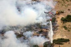 Hombre de Utah provoca incendio de 60 acres tras intentar prender fuego a una araña con encendedor