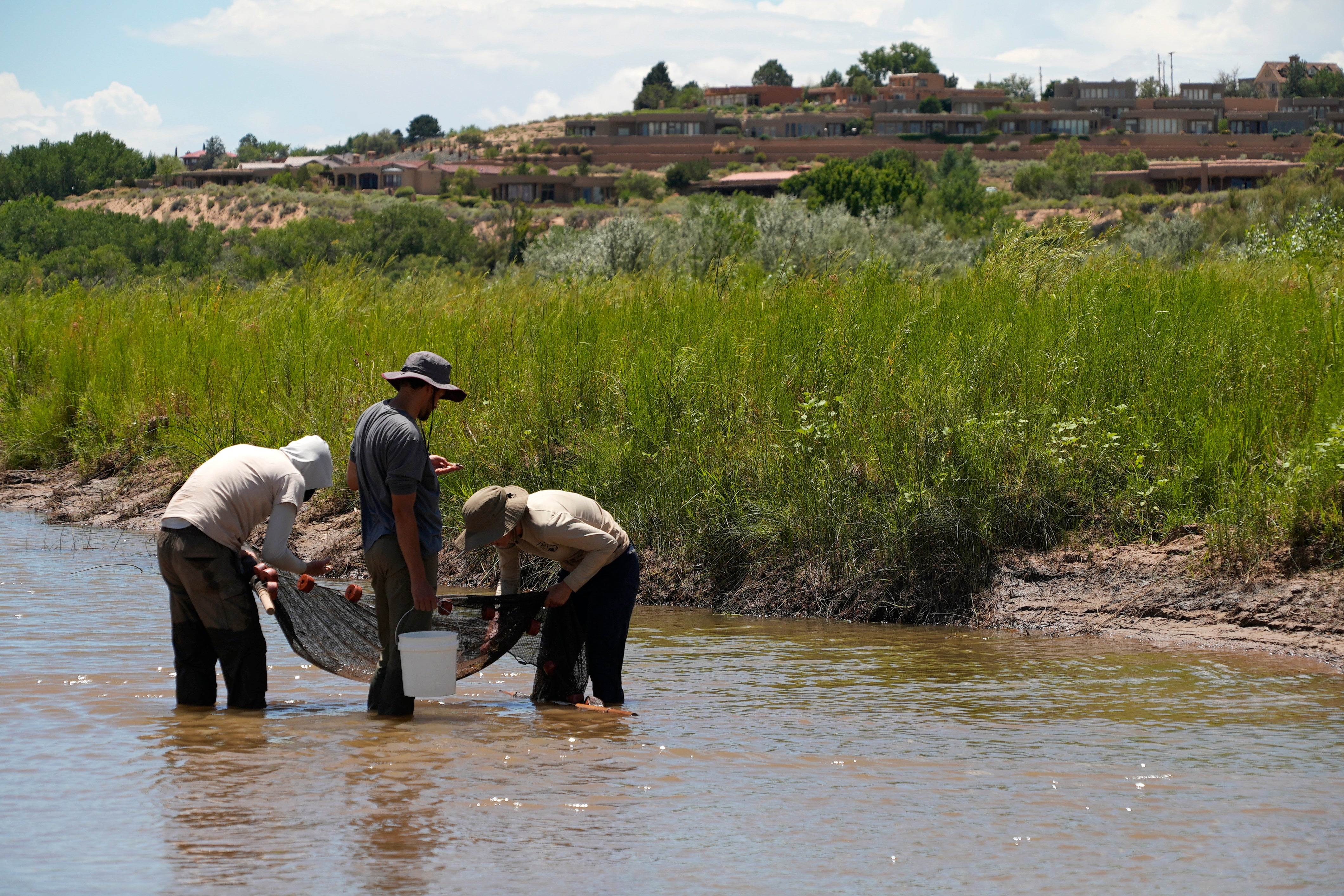 RÍO BRAVO CARPA CHAMIZAL
