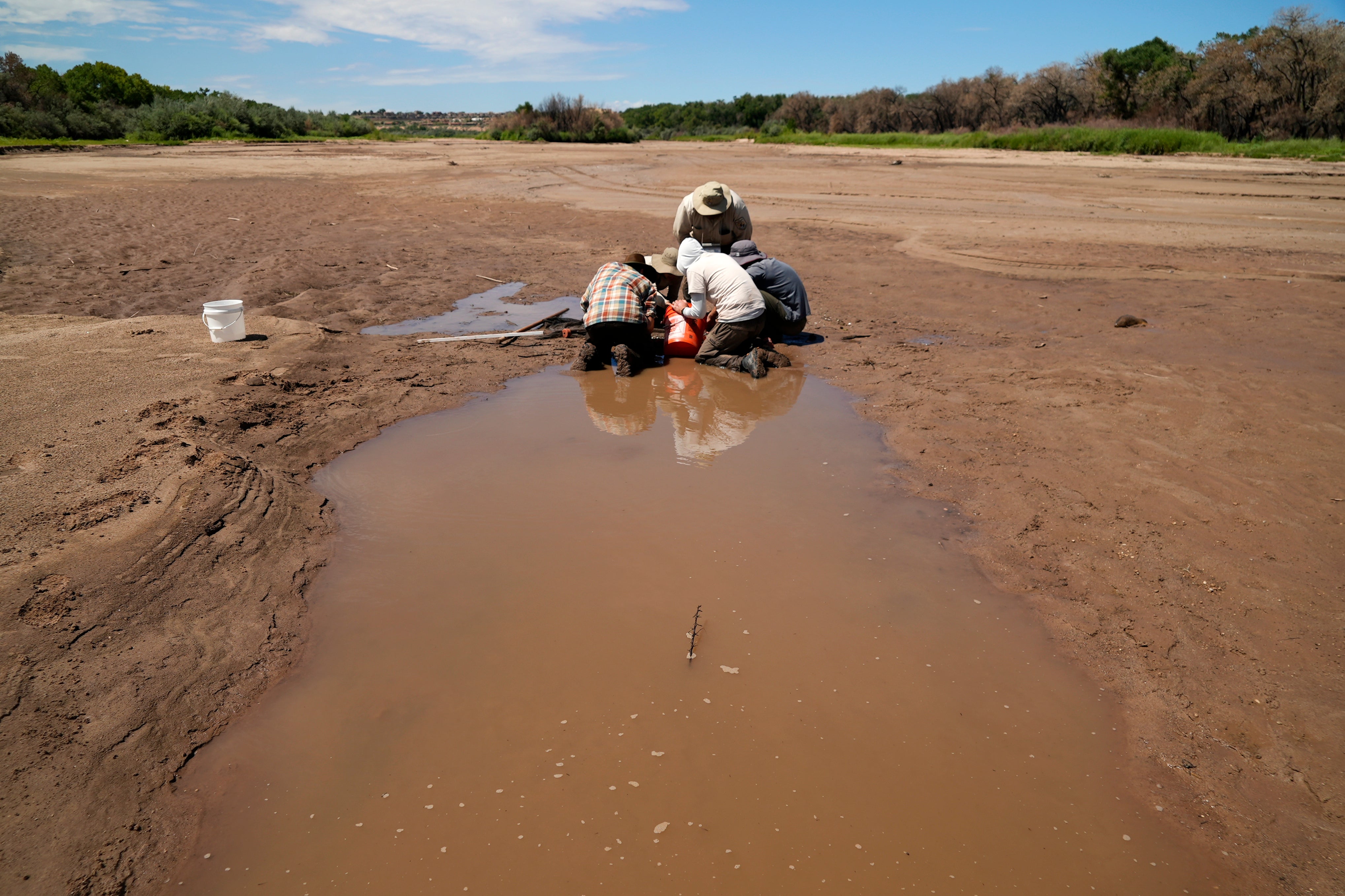 RÍO BRAVO CARPA CHAMIZAL