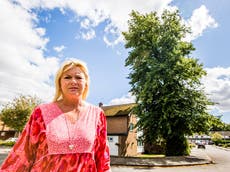 Reino Unido: Ayuntamiento prohíbe a mujer podar un árbol que crece en su propio jardín