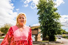 Reino Unido: Ayuntamiento prohíbe a mujer podar un árbol que crece en su propio jardín