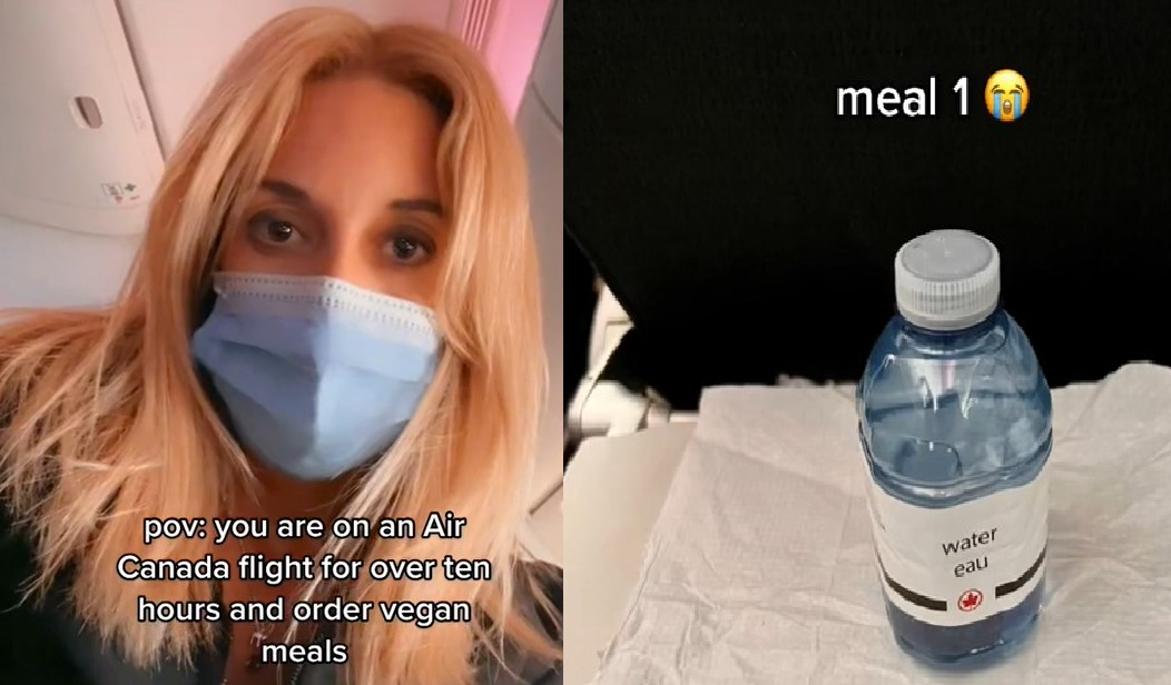 Mujer critica la comida “vegana” que le sirvieron en un vuelo de Air Canada