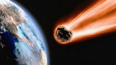 “Viajero del tiempo de 2671” afirma que un gran meteorito chocará contra la Tierra en TikTok