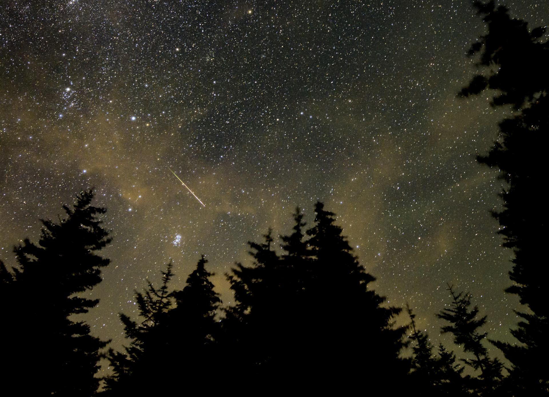 Se observa un meteoro de las Perseidas en el cielo de Virginia Occidental el 11 de agosto de 2021