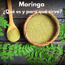 ¿Qué es la “Moringa” y qué efecto tiene sobre el cuerpo?