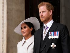 Harry y Meghan adoptan perra tatuada con número de serie, rescatada de horrible laboratorio de investigación 