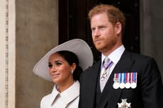 Harry y Meghan adoptan perra tatuada con número de serie, rescatada de horrible laboratorio de investigación