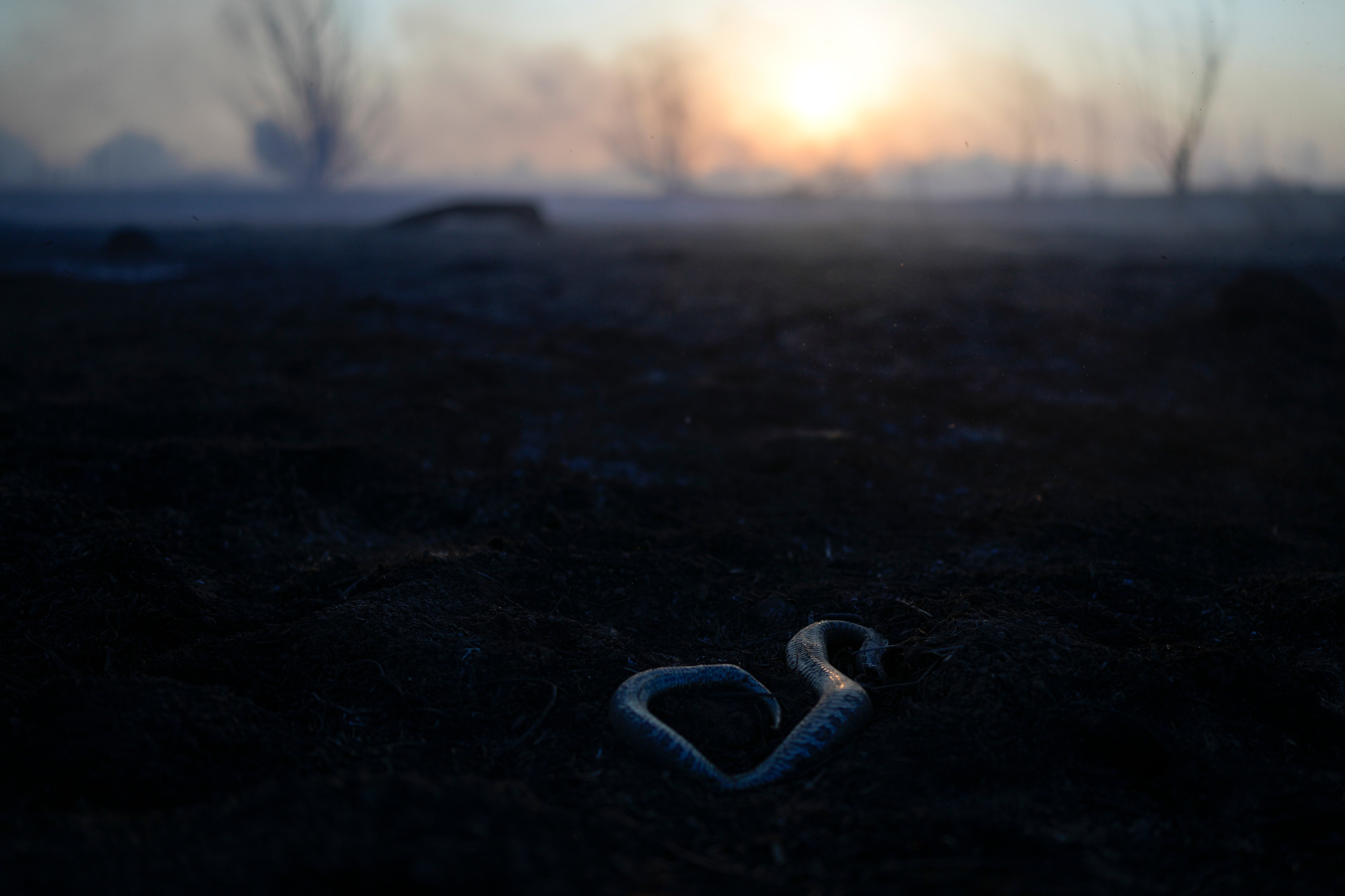 APTOPIX ARGENTINA-INCENDIOS