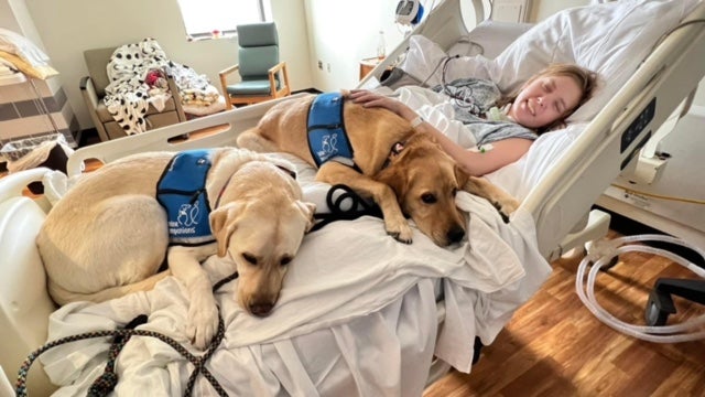 Mi hija fue a una cita de rutina con el quiropráctico, ahora está paralizada 