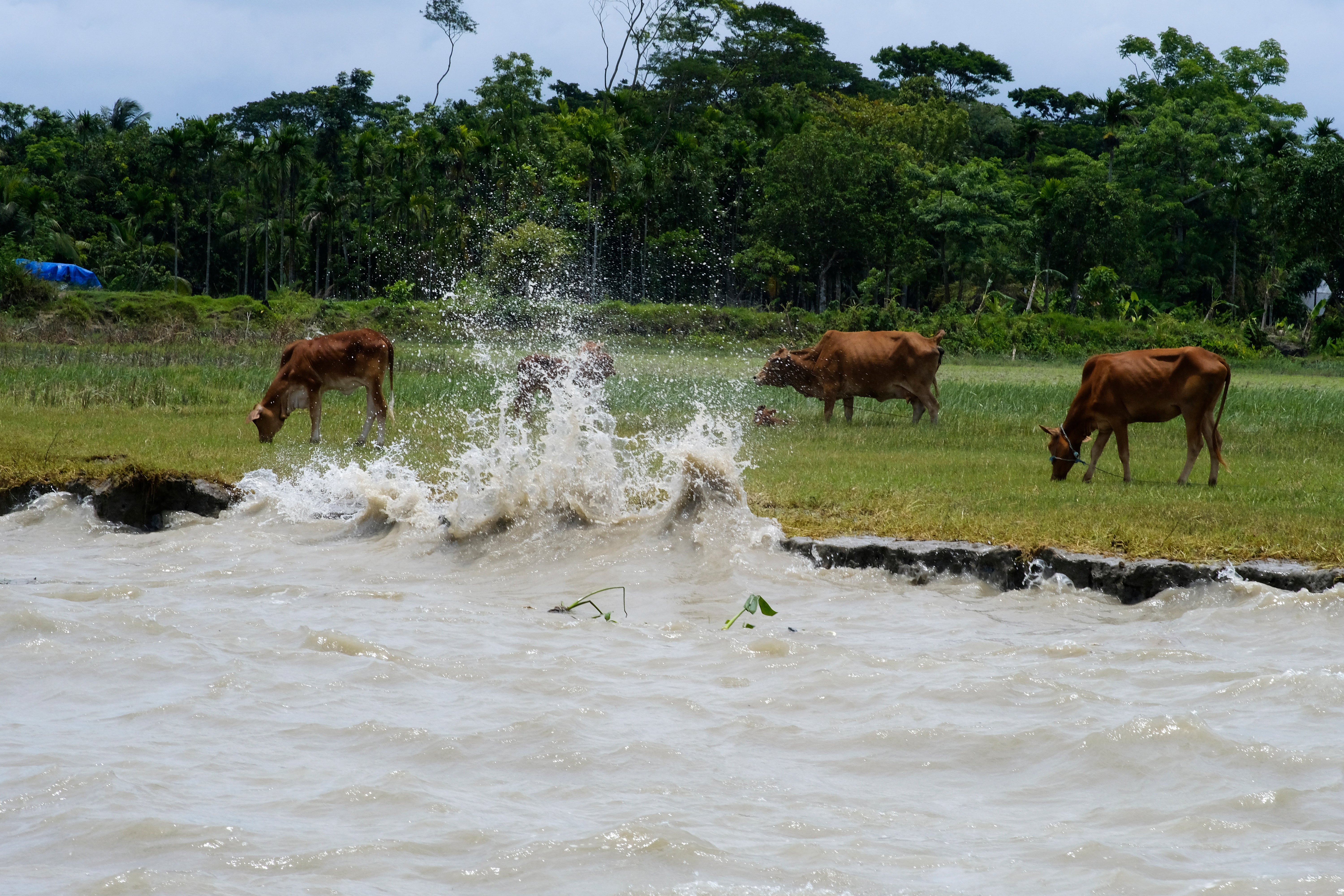 MIGRANTES CLIMÁTICOS BANGLADESH