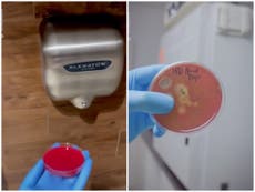 Experimento viral con secadores de manos perturba a usuarios de TikTok