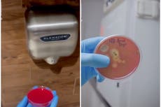 Experimento viral con secadores de manos perturba a usuarios de TikTok