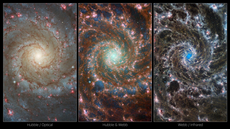 ‘Remolinos hipnotizantes’: La NASA publica nuevas y cautivantes imágenes de la Galaxia Fantasma