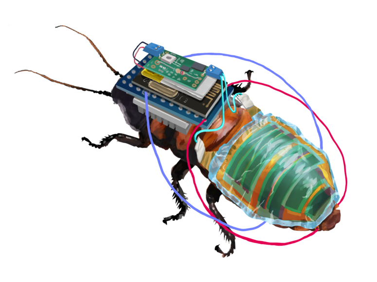 <p>Ilustración de cómo se vería una cucaracha con la tecnología inalámbrica y una batería incorporada a un panel solar</p>