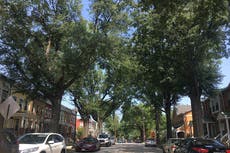 ¿Seguirán en aumento los precios de las casas en Estados Unidos en 2022?