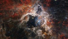 El telescopio Webb de la NASA observa a una araña cósmica en una nueva imagen