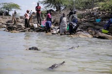Migrantes climáticos: Un lago trae cocodrilos y desgracias