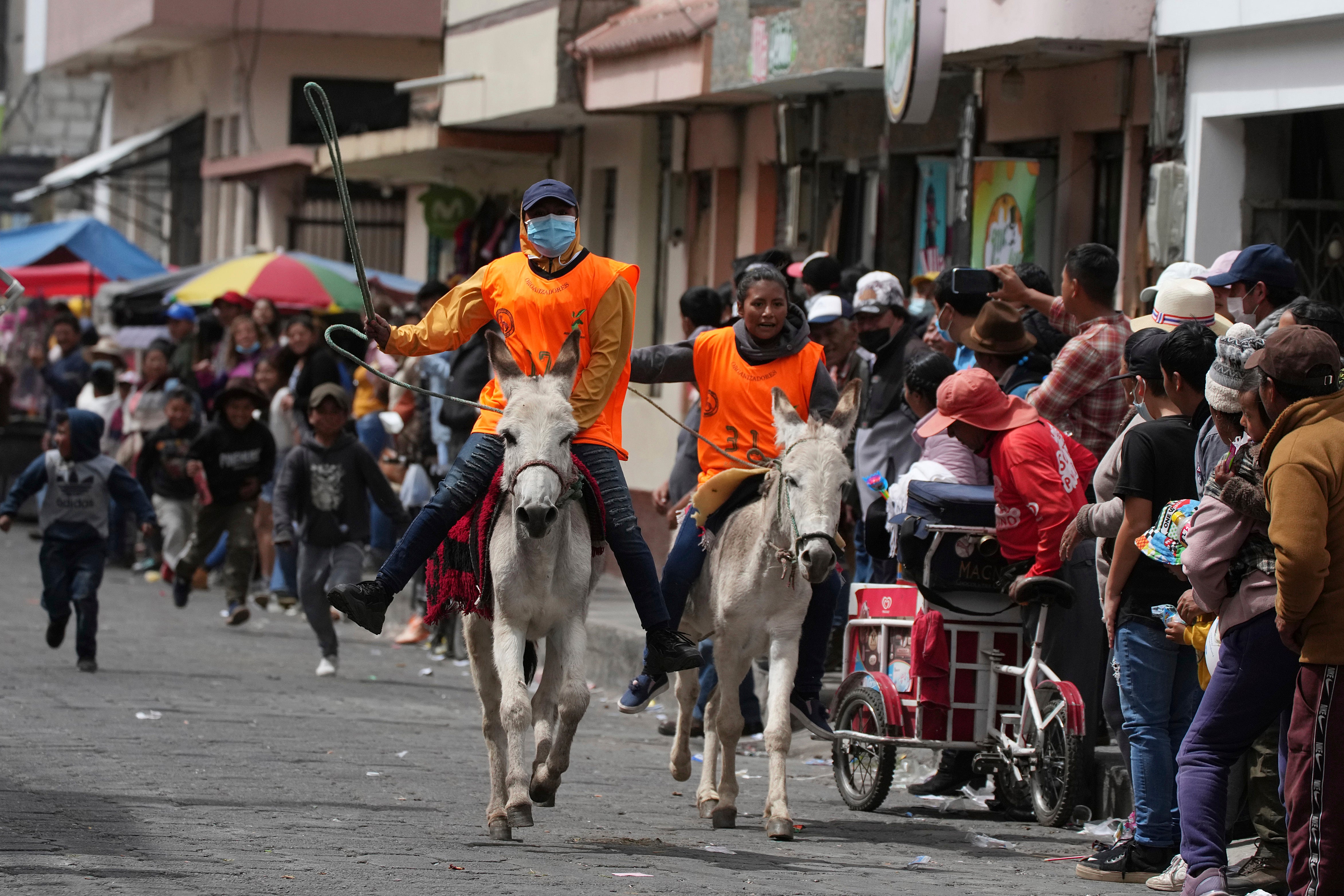 ECUADOR-BURROS-CARRERA