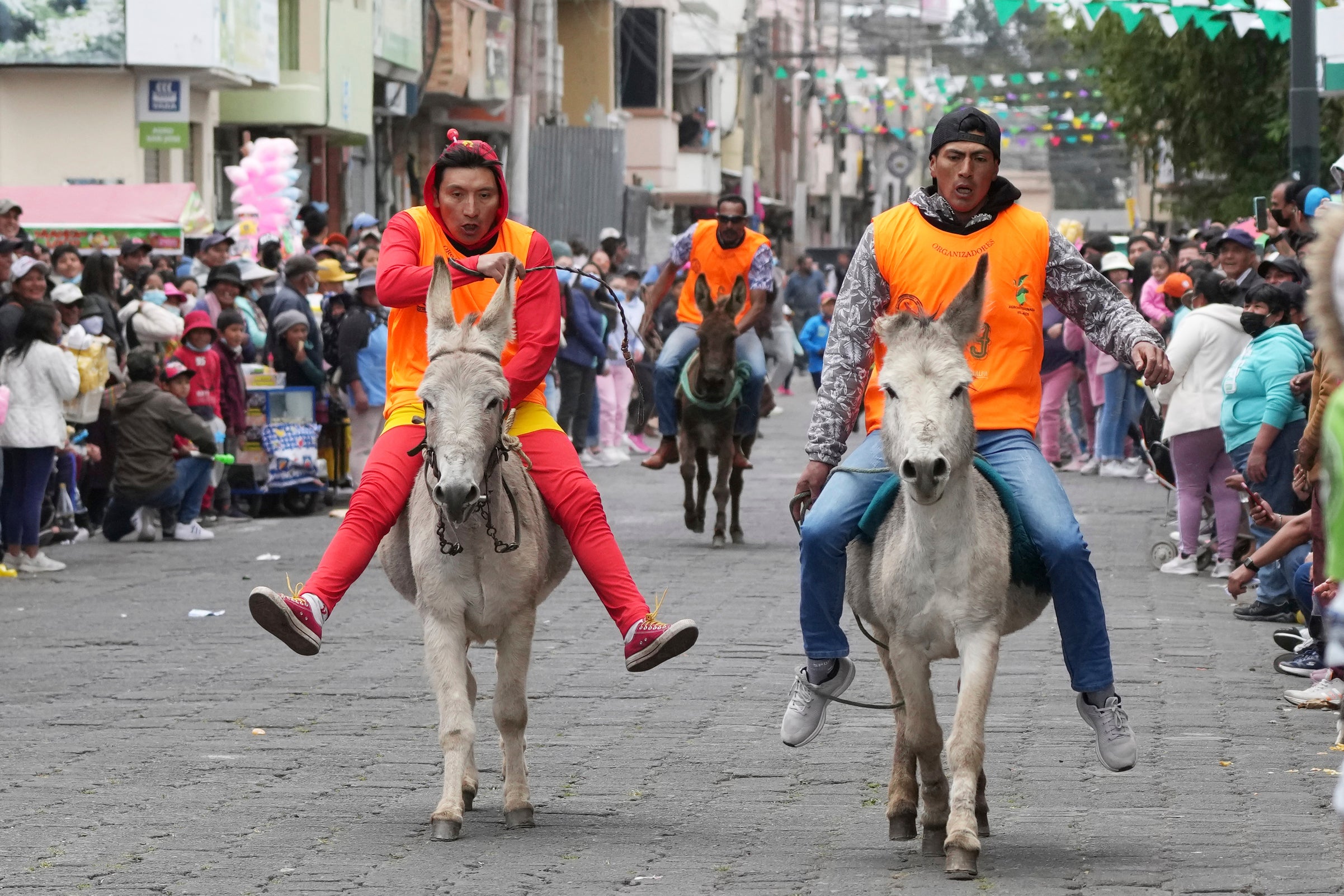 ECUADOR-BURROS CARRERA