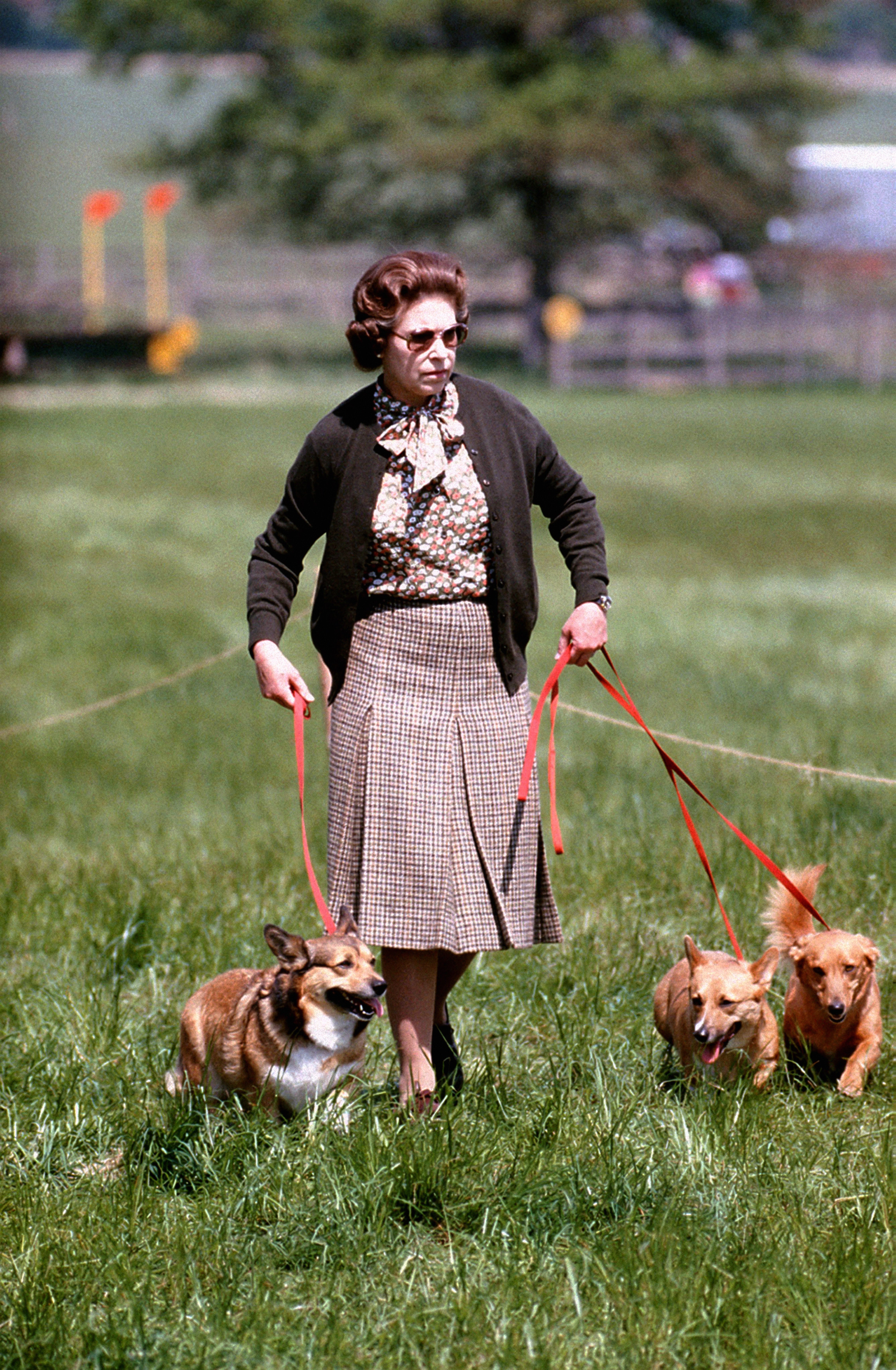 The Queen in 1980 with some of her corgis walking the cross country course during the second day of the Windsor Horse Trials (PA)