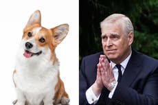 El príncipe Andrew y Sarah Ferguson se quedarán con los corgis de la reina