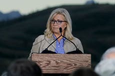 Liz Cheney: nuevas revelaciones dejan ver el verdadero “peligro” que es Donald Trump