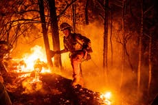 Lucha contra incendio en California luce “mucho mejor"