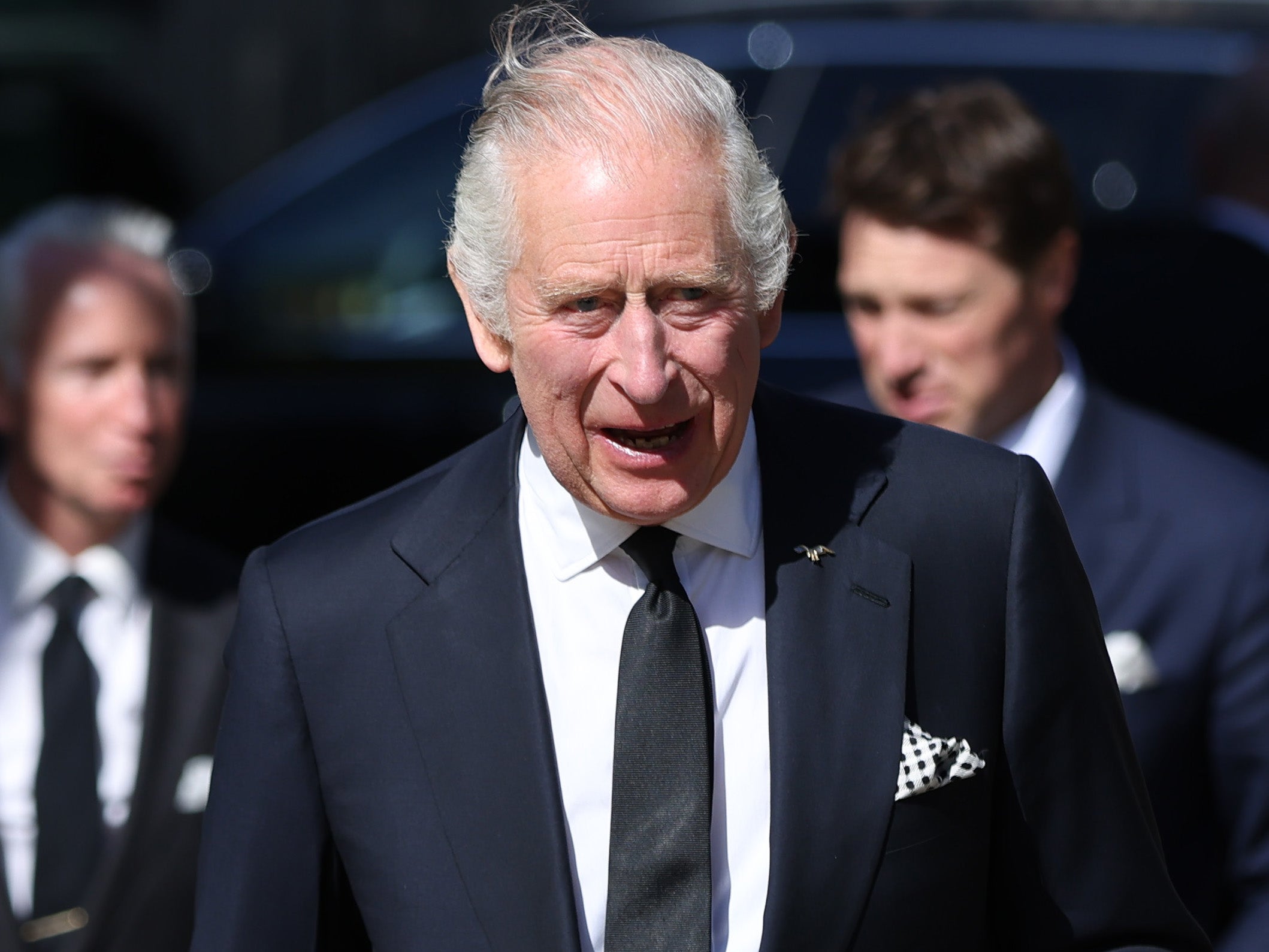 El príncipe Andrew y el príncipe Harry podrían perder su “estatus suplente” si el rey decide enmendar la ley