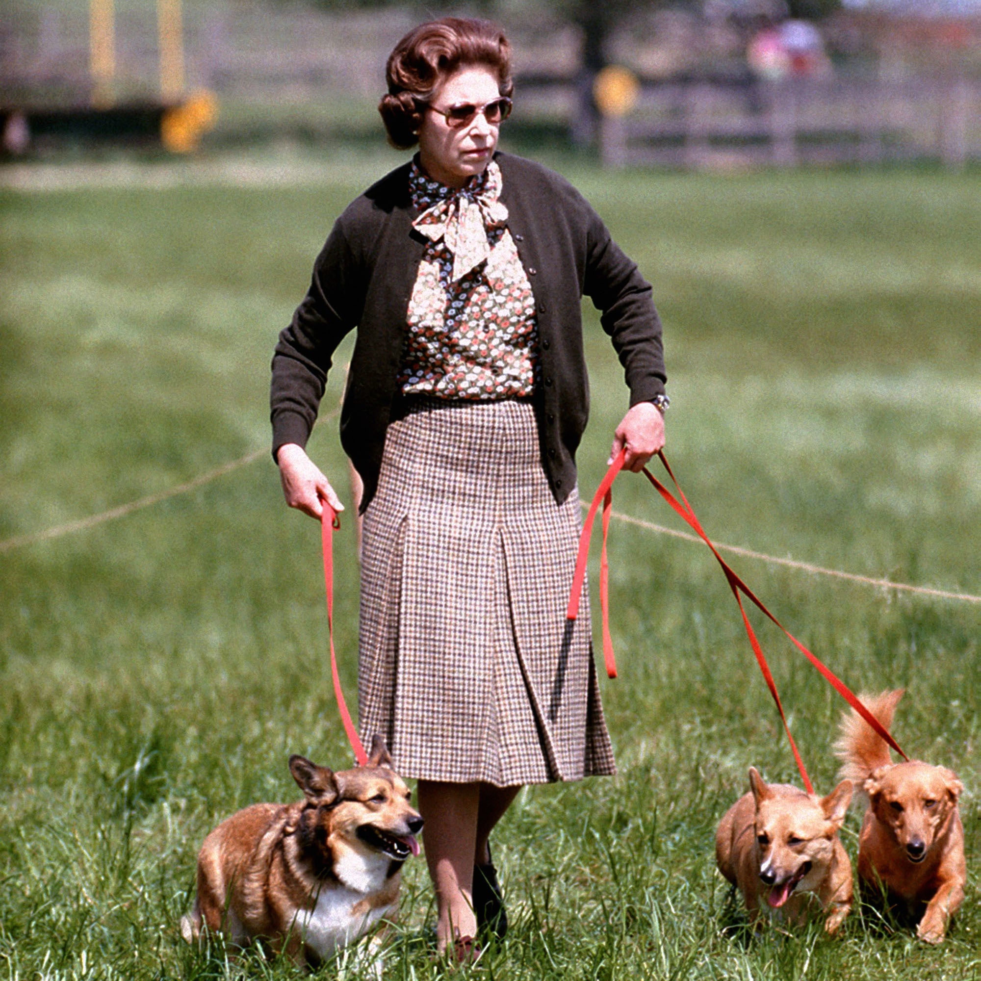 La reina Isabel II con algunos de sus corgis paseando por Windsor en 1980