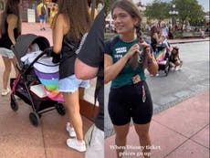 Vídeo de visitantes a Disney escondiendo a una niña para no pagar entrada desata debate