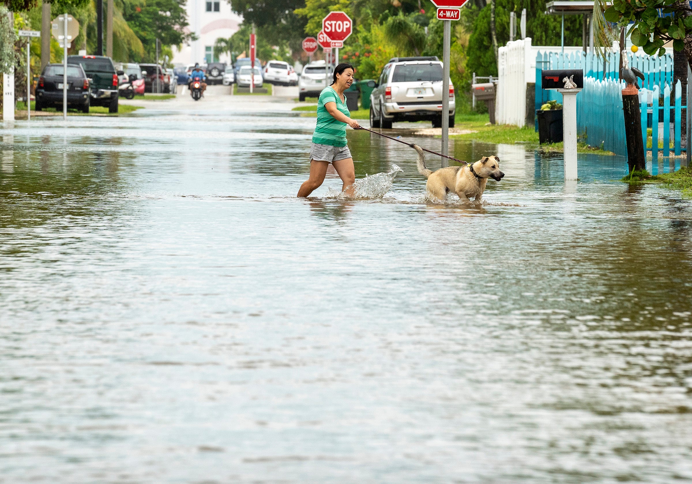 Una persona pasea a su perro en Key West, Florida, el martes mientras las inundaciones del huracán Ian comienzan a azotar el estado