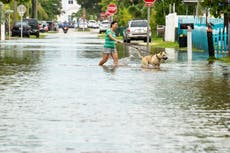 Consejos sobre cómo mantener segura a tu mascota durante una tormenta como el huracán Ian