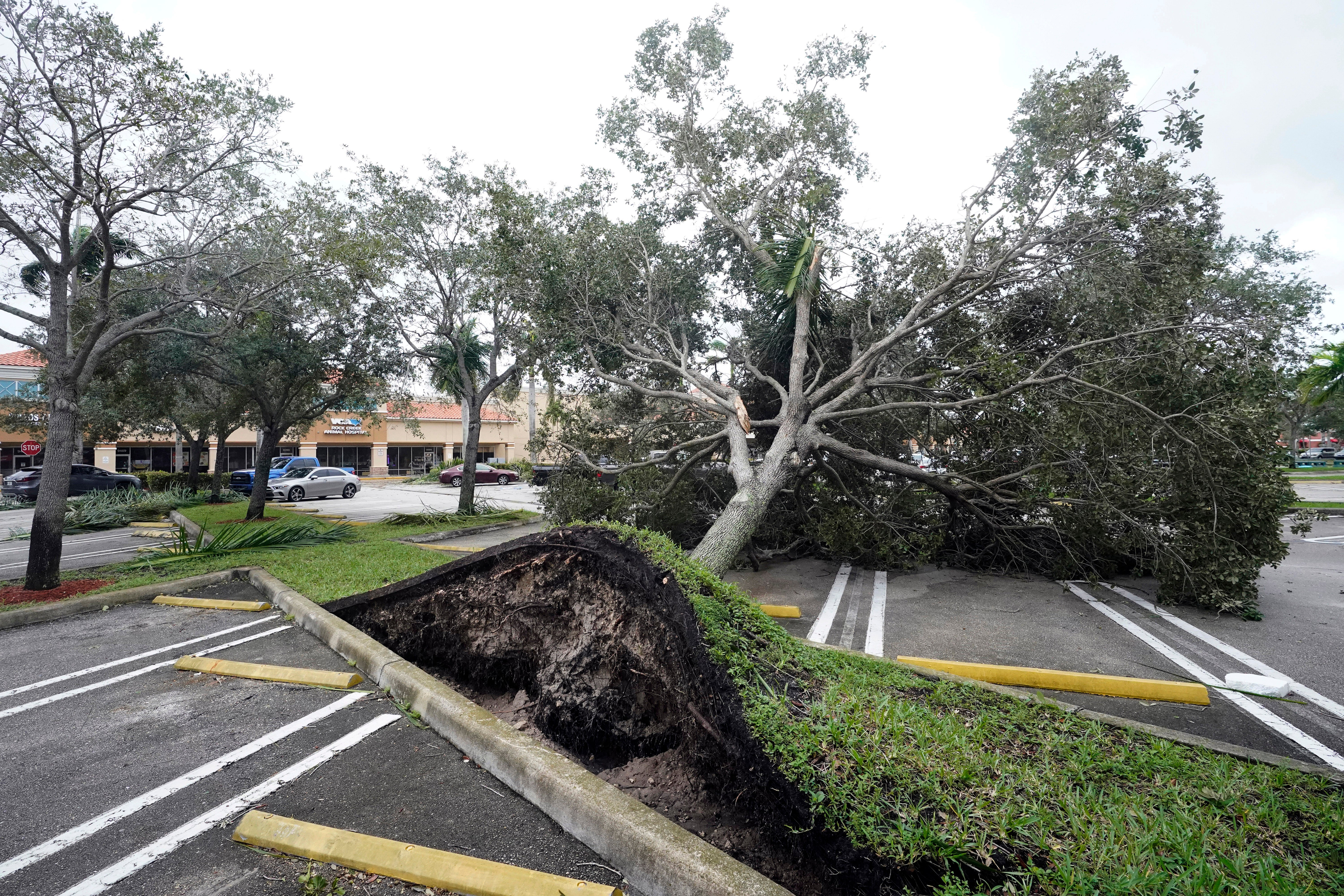 TORMENTA-FLORIDA