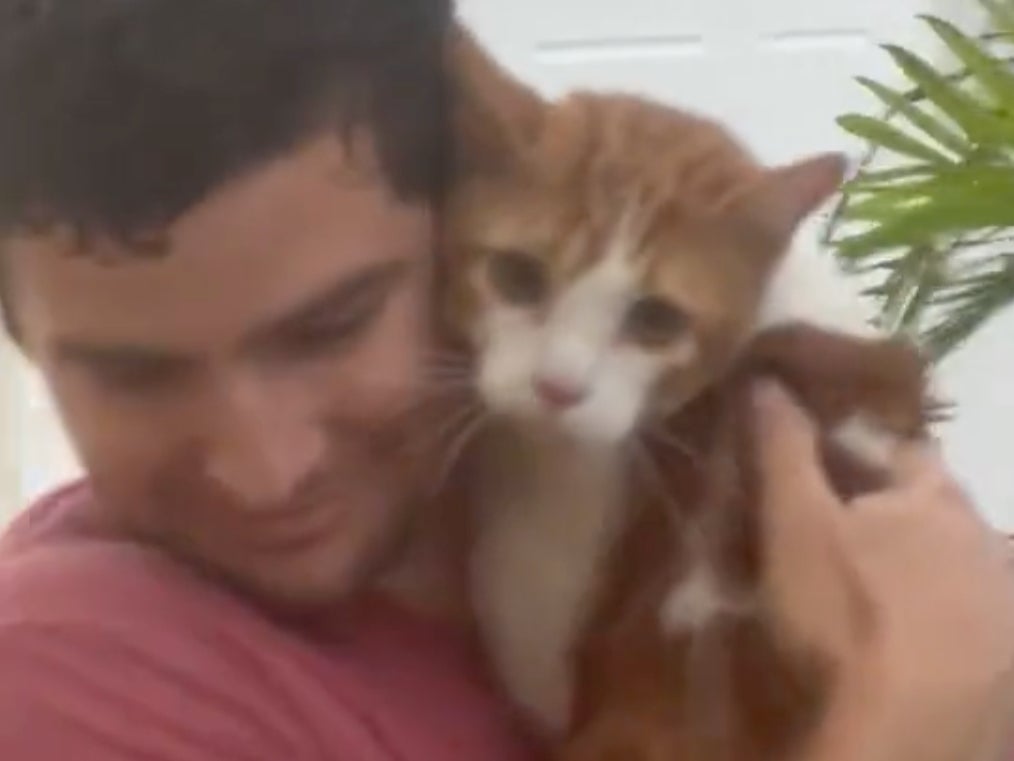 Hombre se vuelve viral por rescatar a un gato del huracán Ian: “Ahora es el novio de todo mundo”
