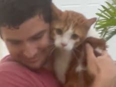 Hombre se vuelve viral por rescatar a un gato del huracán Ian: “Ahora es el novio de todo mundo”